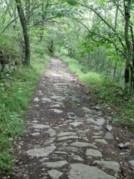 Sentier dallé